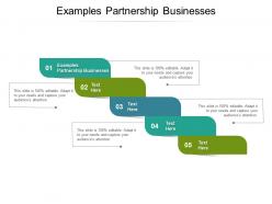 Examples partnership businesses ppt powerpoint presentation model grid cpb