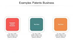 Examples patents business ppt powerpoint presentation layouts rules cpb