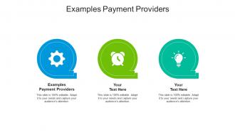 Examples payment providers ppt powerpoint presentation outline format cpb