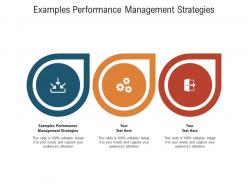 Examples performance management strategies ppt powerpoint presentation gallery example file cpb