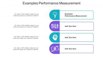 Examples Performance Measurement Ppt Powerpoint Presentation Gallery Maker Cpb