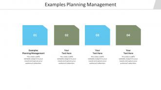 Examples planning management ppt powerpoint presentation portfolio background cpb