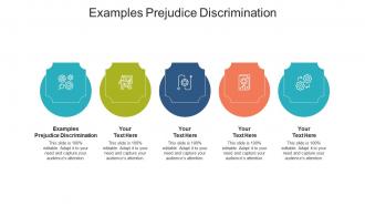 Examples prejudice discrimination ppt powerpoint presentation infographic cpb