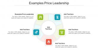 Examples Price Leadership In Powerpoint And Google Slides Cpb