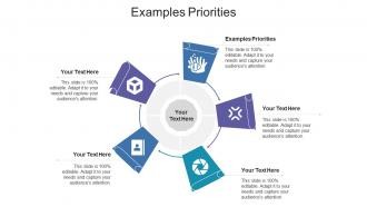 Examples priorities ppt powerpoint presentation portfolio summary cpb