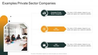 Examples Private Sector Companies In Powerpoint And Google Slides Cpb