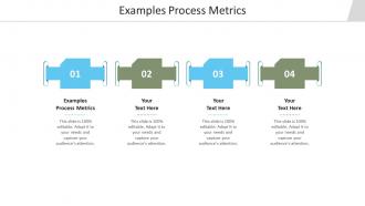 Examples process metrics ppt powerpoint presentation infographic template graphics cpb