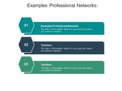 Examples professional networks ppt powerpoint presentation infographic template outfit cpb