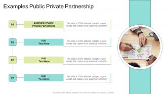Examples Public Private Partnership In Powerpoint And Google Slides Cpb