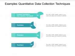 Examples quantitative data collection techniques ppt powerpoint presentation background cpb