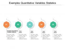 Examples quantitative variables statistics ppt powerpoint presentation styles graphics pictures cpb