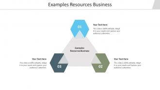 Examples resources business ppt powerpoint presentation layouts portrait cpb