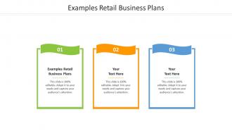 Examples retail business plans ppt powerpoint presentation infographic template file formats cpb