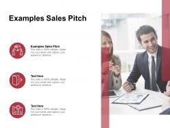 Examples sales pitch ppt powerpoint presentation infographics display cpb