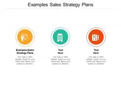 Examples sales strategy plans ppt powerpoint presentation gallery infographics cpb
