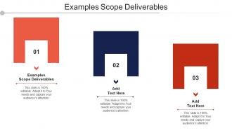 Examples Scope Deliverables Ppt Powerpoint Presentation Icon Design Templates Cpb