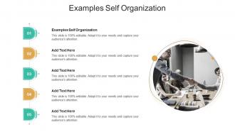Examples Self Organization In Powerpoint And Google Slides Cpb