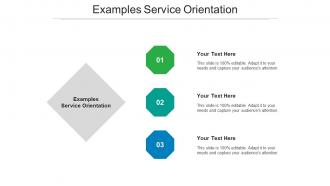 Examples service orientation ppt powerpoint presentation portfolio guide cpb