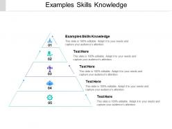 Examples skills knowledge ppt powerpoint presentation summary mockup cpb