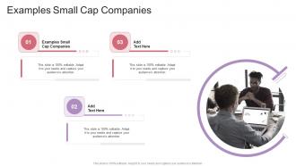 Examples Small Cap Companies In Powerpoint And Google Slides Cpb