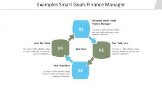 Examples smart goals finance manager ppt powerpoint presentation model display cpb