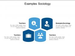 Examples sociology ppt powerpoint presentation slides ideas cpb