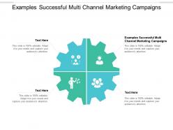 Examples successful multi channel marketing campaigns ppt powerpoint presentation icon cpb