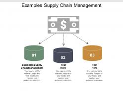 Examples supply chain management ppt powerpoint presentation pictures slideshow cpb