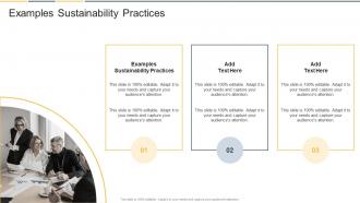 Examples Sustainability Practices In Powerpoint And Google Slides Cpb