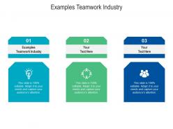 Examples teamwork industry ppt powerpoint presentation infographic template example topics cpb