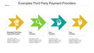 Examples third party payment providers ppt powerpoint presentation model mockup cpb