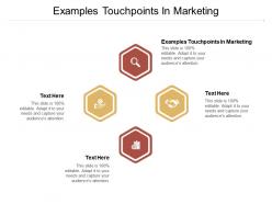 Examples touchpoints in marketing ppt powerpoint presentation layouts example topics cpb