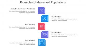 Examples Underserved Populations Ppt Powerpoint Presentation Slides Templates Cpb