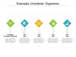 Examples unicellular organisms ppt powerpoint presentation infographics vector cpb