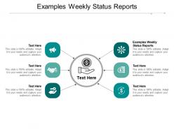 Examples weekly status reports ppt powerpoint presentation outline clipart images cpb