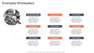 Examples Wholesalers In Powerpoint And Google Slides Cpb