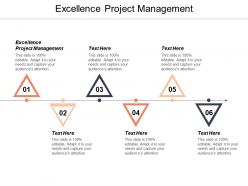 Excellence project management ppt powerpoint presentation show sample cpb
