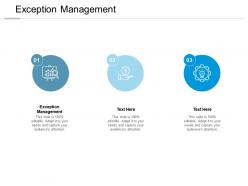 Exception management ppt powerpoint presentation infographics slides cpb