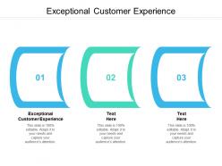 Exceptional customer experience ppt powerpoint presentation show aids cpb