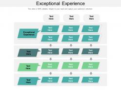 Exceptional experience ppt powerpoint presentation gallery vector cpb
