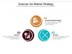 Execute go market strategy ppt powerpoint presentation ideas graphics pictures cpb