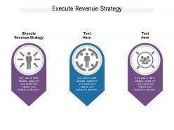 Execute revenue strategy ppt powerpoint presentation slides file formats cpb