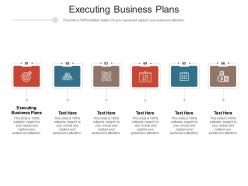Executing business plans ppt powerpoint presentation styles pictures cpb