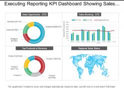 Executing reporting kpi dashboard showing sales opportunity and sales booking