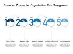 Execution process for organization risk management