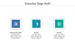 Execution stage audit ppt powerpoint presentation ideas graphics cpb