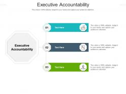 Executive accountability ppt powerpoint presentation slides layout ideas cpb