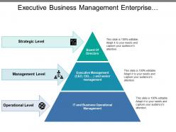 Executive business management enterprise governance pyramid with icons