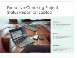 Executive checking project status report on laptop