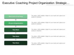 Executive coaching project organization strategic review needs assessments